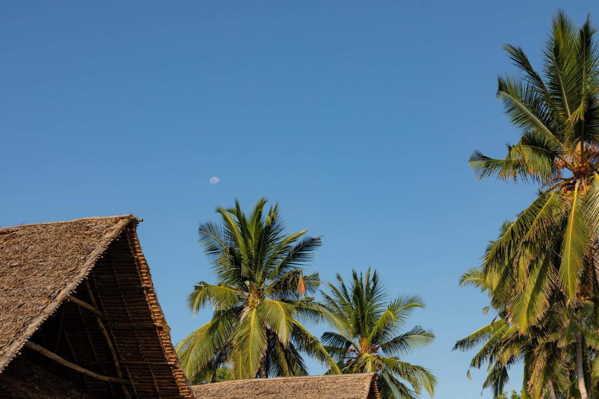 Pole Pole Bungalows Utende ภายนอก รูปภาพ